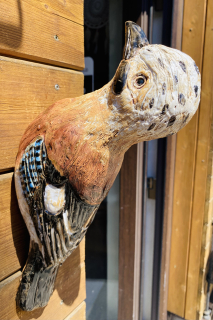 Keramická sojka